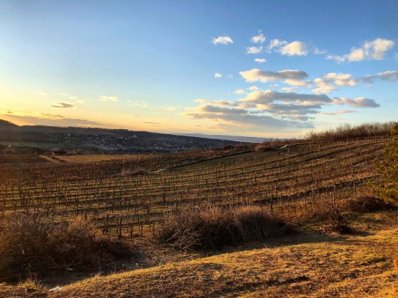 Borvidékek és Dűlőink_kezdőoldal.